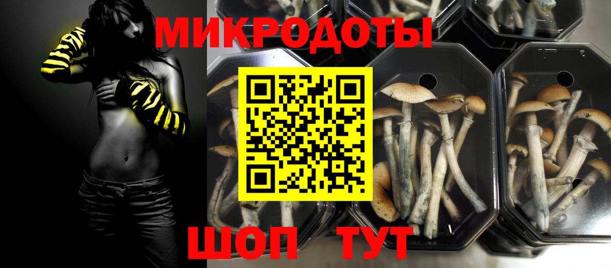 Ярославль  Псилоцибиновые грибы GOLDEN TEACHER  Вход с VPN 